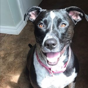 Meet your Posher, Larrah